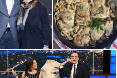 30 MINUTES AGO: Stephen Colbert’s Take on Ina Garten’s Mustard Chicken Has Fans OBSESSED — So I Tried It Myself