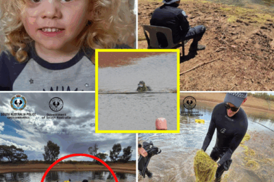 UPDATE NEWS: Heartbreaking Turn In Search For Missing 4-Year-Old Gus Lamont — Police DRAIN DAM In Desperate Hunt