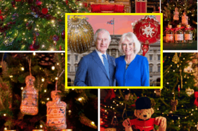 OMG! Buckingham Palace UNVEILS Its First-Ever CHRISTMAS SHOP — And It’s Straight Out of a ROYAL FAIRYTALE