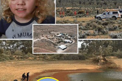 OMG! The “30-Minute Mystery” SHOCKS Australia As NEW DETAILS Emerge In The Disappearance Of 4-Year-Old Gus Lamont.  Police CONFIRM He Was Left ALONE For Just Half An Hour — Then Vanished Without A TRACE 😨 No Cries, No Footprints, No Witnesses… NOTHING! Locals Say There’s A SINISTER SECRET Hidden In The Outback That No One Wants To Talk About . What REALLY Happened To Little Gus?