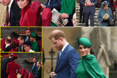 “LAST-DITCH SMILE”: Meghan Markle’s ‘Indestructible Perma-Grin’ Next to a ‘Dissolved’ Prince Harry Sparks Concern — Body Language Experts REVEAL Her FINAL Attempt to Prove Herself as Royal Pressures and Hidden Tensions Reach a Breaking Poin