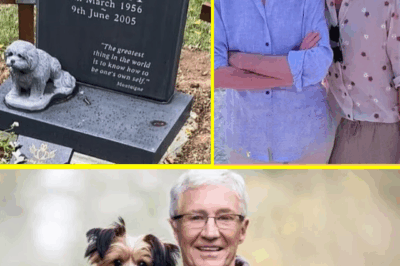 Paul O’Grady’s FINAL RESTING PLACE Unveiled: Andre’s Heartfelt Tribute with Buster Statue Melts Hearts Nationwide! ❤️🕊️