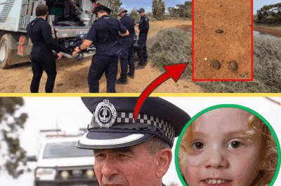 Gone Without a Sound: The Chilling “Hidden Gateway” Theory Behind 4-Year-Old Gus Lamont’s Outback Disappearance