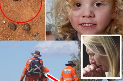“AFTER 10 DAYS IN HE:LL…”: Detectives Make TERRIF:YING Discovery in Gus Lamont Case — What They Found in the Bush Leaves His Mother SCREAMING in Despair