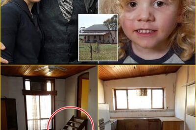 “He Wasn’t Just a Missing Boy — He Was the Heart of a Family Already Fighting Its Own Silent Battles” — The Hidden Truth About Gus Lamont’s Home Life That Makes This Tragedy Even More Heartbreaking