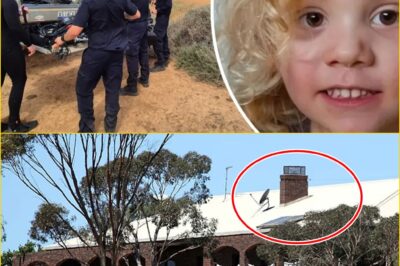 CONTINUING ONCE AGAIN — The Search for the Missing Australian Boy Ends in Devasta:ting Silence After Days of Hope and Heartbreak