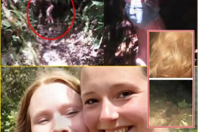 Unexplained Jungle Mystery: The Lost Camera of Kris Kremers and Lisanne Froon Reveals Disturbing Photos That Still Ha-unt Investigators 10 Years Later