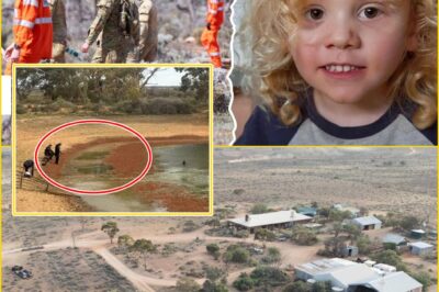 WHY ARE THEY BACK? Police Return to Family’s Remote Property in Hunt for Missing 4-Year-Old Gus — What Are They Hiding?