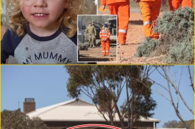 Day 19 and Still No Sign of Little Gus: Heartbreak Deepens as Police Admit There’s ‘No Trace, No Clues, No Hope’