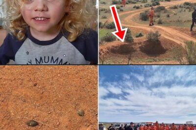 “BRING MY LITTLE LAMB HOME—DE:AD OR ALIVE!” A Mother’s Agonizing Cry Shatters Australia’s Silence as Hope Fades for Missing 4-Year-Old Gus Lamont