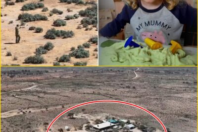 Latest Twist in the Hu-nt for Missing Gus Lamont: Family’s Last Moments With the Four-Year-Old Revealed as Investigators Uncover Fresh Clues