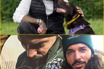 From TOWIE Rebel to the Nation’s New Dog Whisperer — Pete Wicks Steps Into Paul O’Grady’s Legacy and Fans Can’t Believe It!