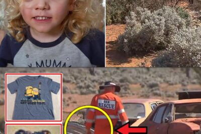 “WE SAW HIM NEAR THE GATE…” – Locals’ Sh0cking Revelation Rocks Search for Missing 4-Year-Old Gus Lamont in the Australian Outback