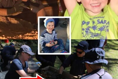 The “20-Minute Gap” — Foster Mother Under Scrutiny as $1 Million Reward Casts a Shadow Over the William Tyrrell Case