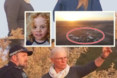 “Police Are Missing Something Big”: Experts Reveal Disturbing New Theory in the Disappearance of Little Gus Lamont