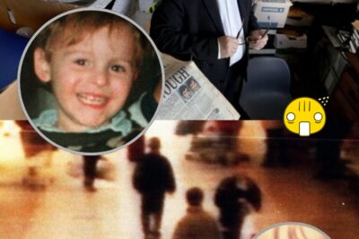 “I STILL SEE THE RAILWAY IN MY DREAMS” — Lawyer Laurence Lee’s Harrowing Confession on James Bulger Case Leaves Viewers Shaken