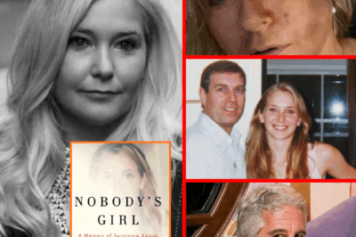 EPSTEIN VI.CTIM’S FINAL  MEMOIR: 400 Sh0cking PAGES Exposing EPSTEIN & PRINCE ANDREW – Se-crets That SH@KE The Powers That Be!