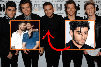 One Direction EXPLODES Back: Zayn & Louis SH0CK Fans With Surprise Reunion, Reveal HEART-BREAKING Road Trip Memories Of Liam Payne!