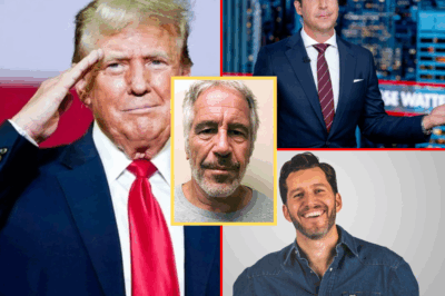 FOX NEWS EXPOSED: Watters & Cain Initially Demanded Epstein Files Be Released – Then SUDDENLY Pivot, What The Heck Is Going On?