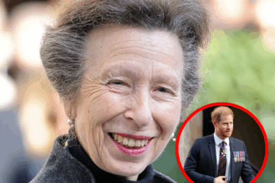 ROYAL EMOTIONS EXPLODE: Princess Anne MAKES SE.CRET VISIT to Ukraine – Meets Zelenskyy, Delivers Heart-Wrenching Gesture for W.ar-Torn Kids!