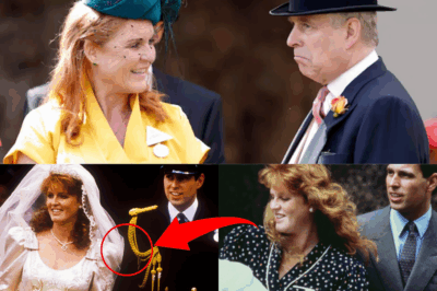 UNBREAKABLE EXES: Andrew & Fergie “INSEPARABLE” Decades After 1996 Di-vorce – Standing Strong Through Can.cer & Eps.tein Scan-dal… Will the Royals ACCEPT a Sh0cking Reunion?