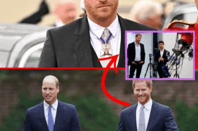 RED ALERT: Known Stalker Gets D@ngerously Close to Harry Twice: Is This a Sinister Royal Pl0t to Sc@re Him Away?