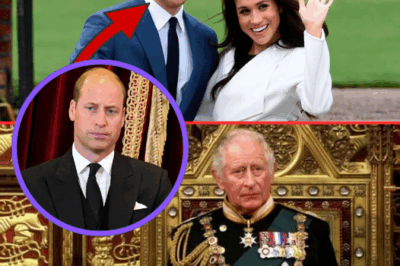TEARS OF RECONCILIATION: Prince Harry Makes Unprecedented CONCESSION, Offers to Share SECRET SCHEDULE With King Charles – Can This “PLEA” Save the Royal Family?