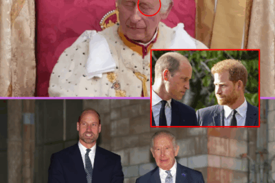 BEHIND THE CROWN: “They Are Quietly Preparing William” – How Alarming is King Charles’s True State of Health?