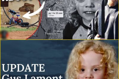 BREAKING UPDATE: Former Homicide Detective Offers Chi:lling Theory as Authorities Intensify Search for Missing Four-Year-Old Gus Lamont