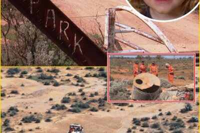 “Why Are They Only Doing This Now?” — Police to Drain Massive Dam on Family’s Land as Desperate Hunt for Missing Boy Gus Lamont Takes a Sh0cking Turn After Weeks of Silence