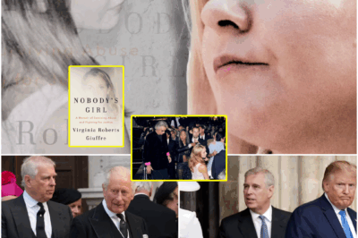 Prince Andrew Stripped of All Titles Following Virginia Giuffre’s Memoir — Her Family Declares ‘Victory’