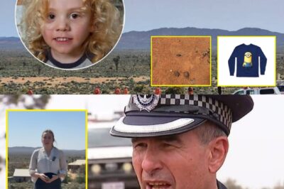 HE’S STILL OUT THERE! Families and Friends Plead With Authorities to Keep Searching for Little Gus Lamont