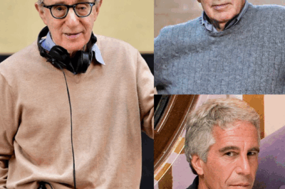 Hollywood Earthquak3: Woody Allen’s Explosive Confession Rocks the Epstein Scandal!