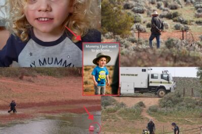 “I Just Want to Go Home, Mommy…” — The Lonely Voice of Little Gus Lost in the Endless Outback