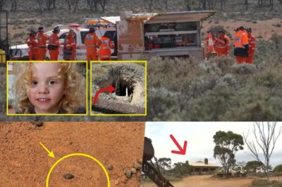 “ONLY ONE FOOTPRINT – THEN NOTHING!” The Chilling Mystery That’s Shaken Australia in the Disappearance of Little Gus Lamont
