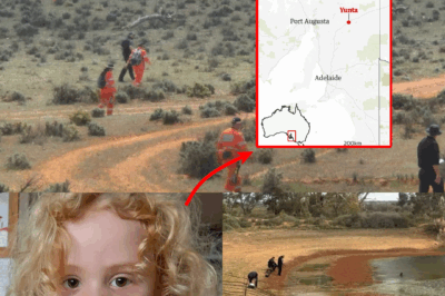 Police Intensify Search for Gus in Outback — What Are Survival Experts Advising?