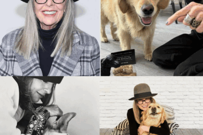 Diane Keaton’s Final Photo: At Home with Her Most Loyal Friend — Reggie the Golden Retriever