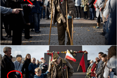 A ONE-LEGGED Veteran Stood in the Rain on November 11 — MO:CKED Until a Little Boy Made the Whole Town Fall Silent
