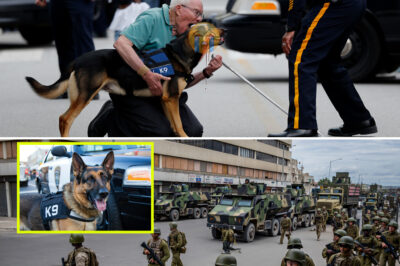 They Attacked a Blind Veteran and His K9 — Then a Military Convoy Arrived and Locked Down the Block
