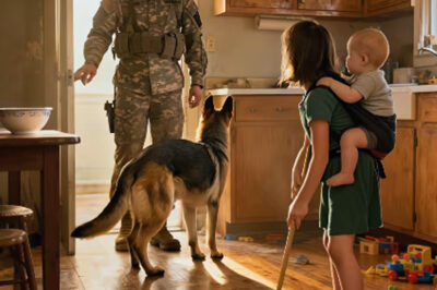 A Soldier Returns Home to a Heartbreaking Scene — His Daughter Raising Her Baby Brother with Only Their Dog to Protect Them