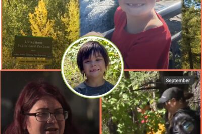 “I’m Really Disappointed the Police Didn’t Try Harder to Find My Son.” — Darius Macdougall’s Mum Chokes Back Tears in Heartbreaking Plea: “Do More… My Baby Still Out There.” 😢