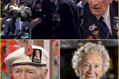 BRITAIN B:E.TRAYED US!” — 100-Year-Old WWII Hero’s LIVE TV E:XPLOSION Leaves Nation in FLOODS: “We Gave EVERYTHING… and Now Look at It!”