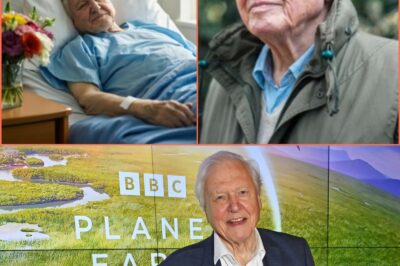 TEARS ACROSS THE WORLD: At 99, Sir David Attenborough’s Heartbreaking Confession — “I’m Afraid I’ll Become Helpless and Forgotten” — Leaves Millions Overwhelmed with Sorrow and Love for the Voice of Our Planet!