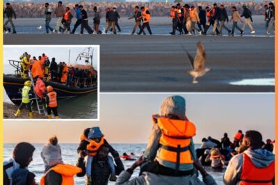 I CAN’T STAY QUIET ANY LONGER — THIS BROKE MY HEART”: New Footage from France Ignites British Fury Over Migrant Crisis – “We’re Begging You to Act!”