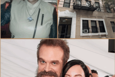 Revealed: The strange, sad d:e.ath of a woman at David Harbour’s home before he met Lily Allen – family speak out!
