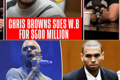 CHRIS BROWN SUING WARNER BROS. for $500 MILLION Over ‘History of Violence’ Doc — “They Profited from My Pain!”