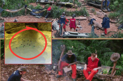 I’m A Celebrity Hit by Second Disaster Hours Before Show After Camp Evacuated – Production Chaos as Storm Forces Emergency Shutdown!