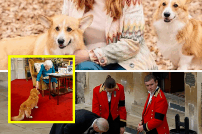 ROYAL REVEAL: Palace CONFIRMS Fate of Late Queen’s Beloved Corgis at Royal Lodge — “They’re In The Best Hands”