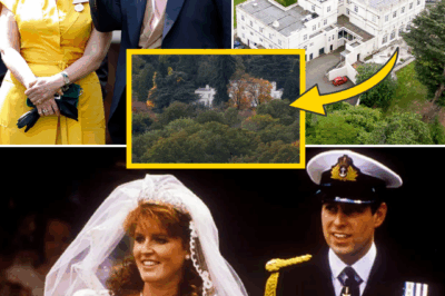 ROYAL SH0CK3R! — SECOND SPLIT CONFIRMED: Prince Andrew Finally Gives Up Royal Lodge After Sarah Ferguson WALKS OUT In 30-Year First