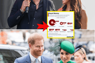 ROYAL SECRET : Prince Harry’s ROYAL CASH FLOW EXPOSED — Shocking TRUTH About Whether He STILL Gets MONEY From The Royal Family